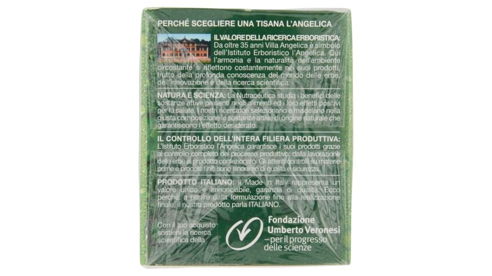 L'Angelica Nutraceutica Tisana a Freddo Drenante Anticell Gusto Ananas e Pompelmo 15 Filtri