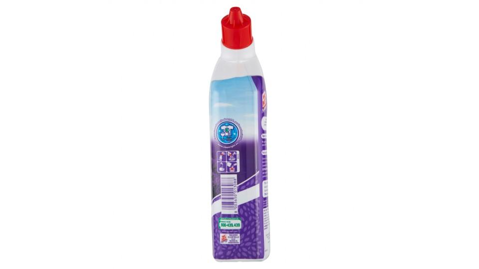 WC Net Profumoso gel Lavender fresh