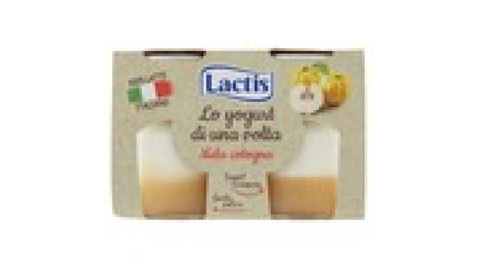 Lactis lo yogurt di una volta Mela cotogna