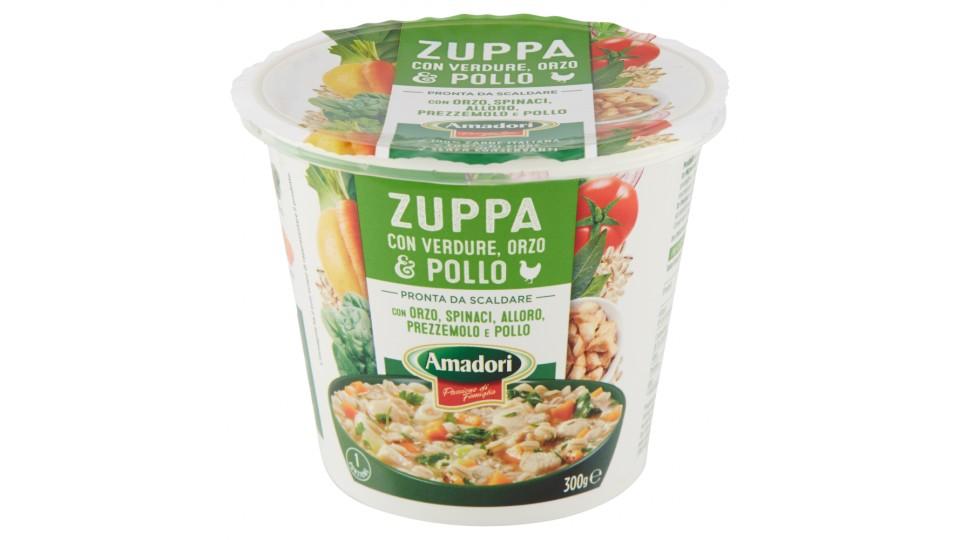 Amadori Zuppa con Verdure, Orzo & Pollo