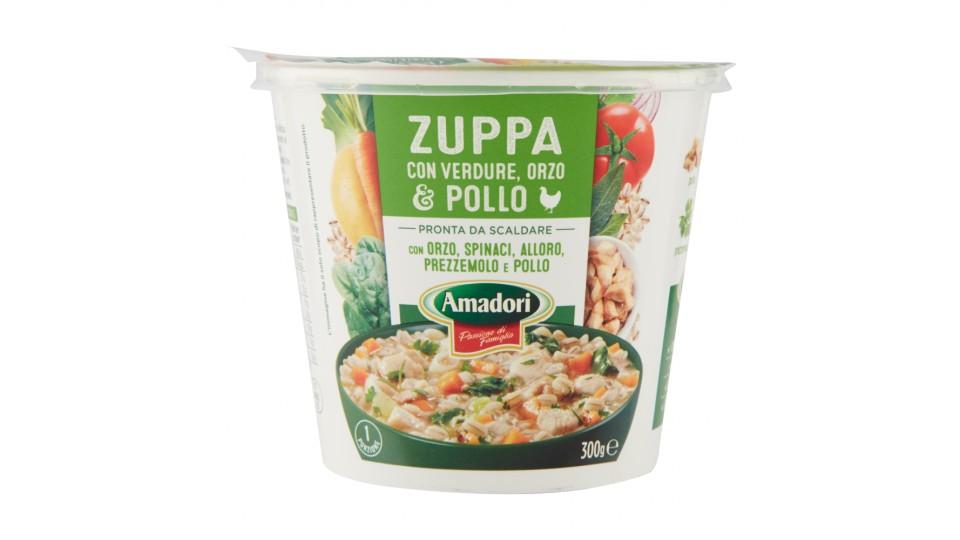 Amadori Zuppa con Verdure, Orzo & Pollo