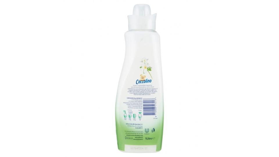 Coccolino ammorbidente concentrato Gelsomino
