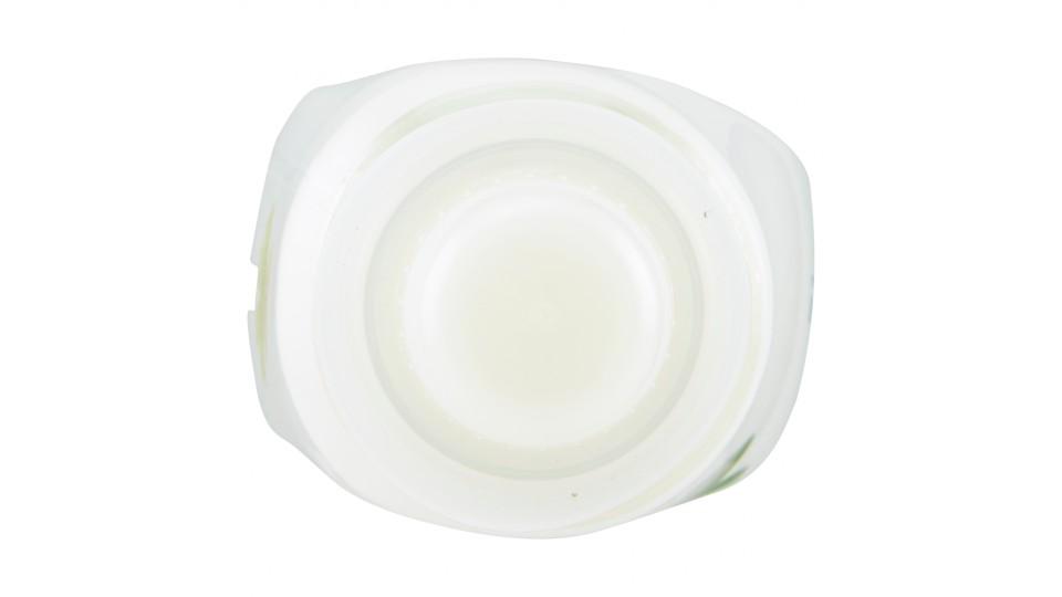 Coccolino ammorbidente concentrato Gelsomino