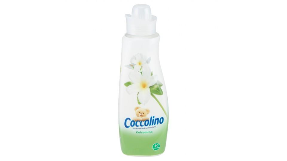 Coccolino ammorbidente concentrato Gelsomino