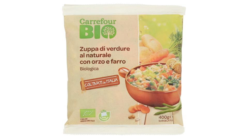 Carrefour Bio Zuppa di verdure al naturale con orzo e farro Biologica Surgelato