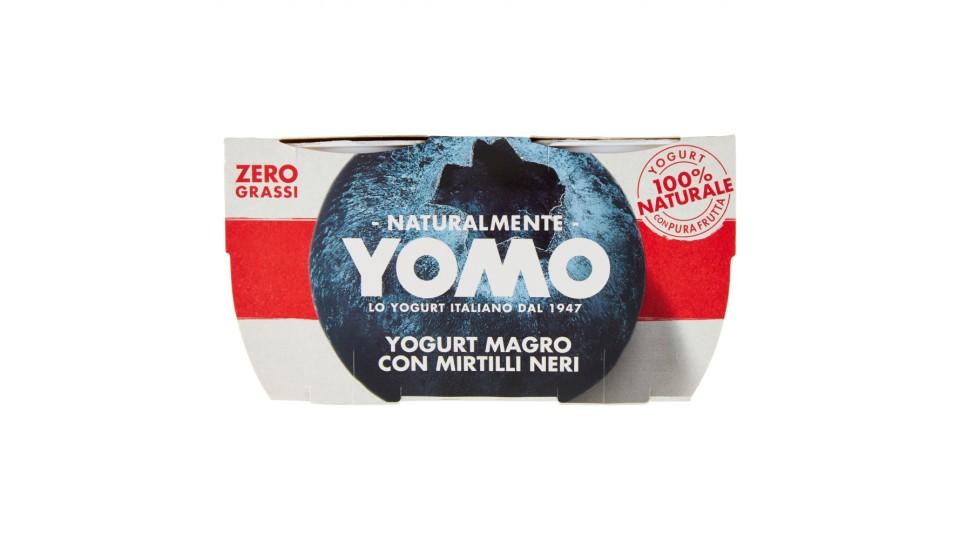 Yomo yogurt mirtilli x
