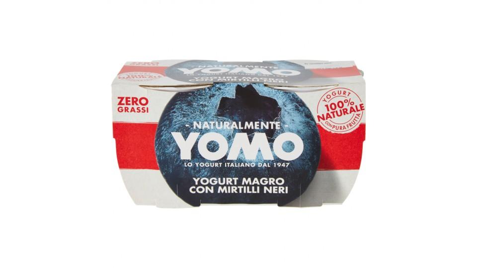 Yomo yogurt mirtilli x