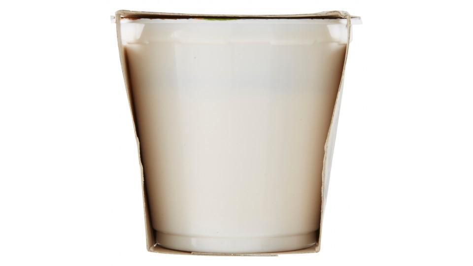 Trentina yogurt albicocca x