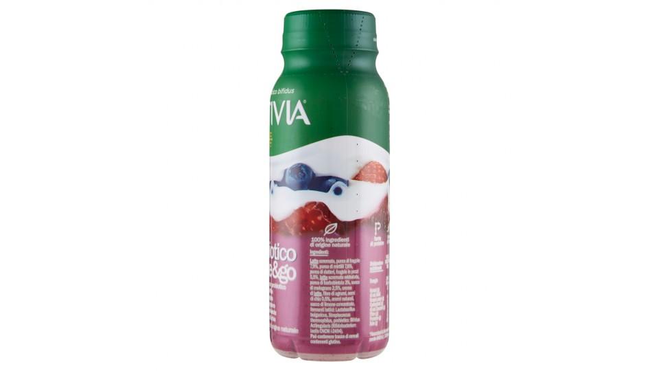 Activia probiotico shake&go mirtillo fragola melograno barbabietola semi di chia