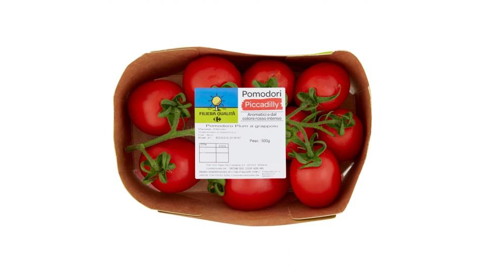 Carrefour Filiera Qualità Pomodori Piccadilly
