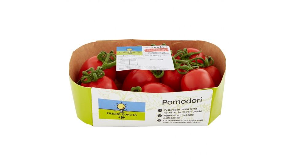 Carrefour Filiera Qualità Pomodori Piccadilly