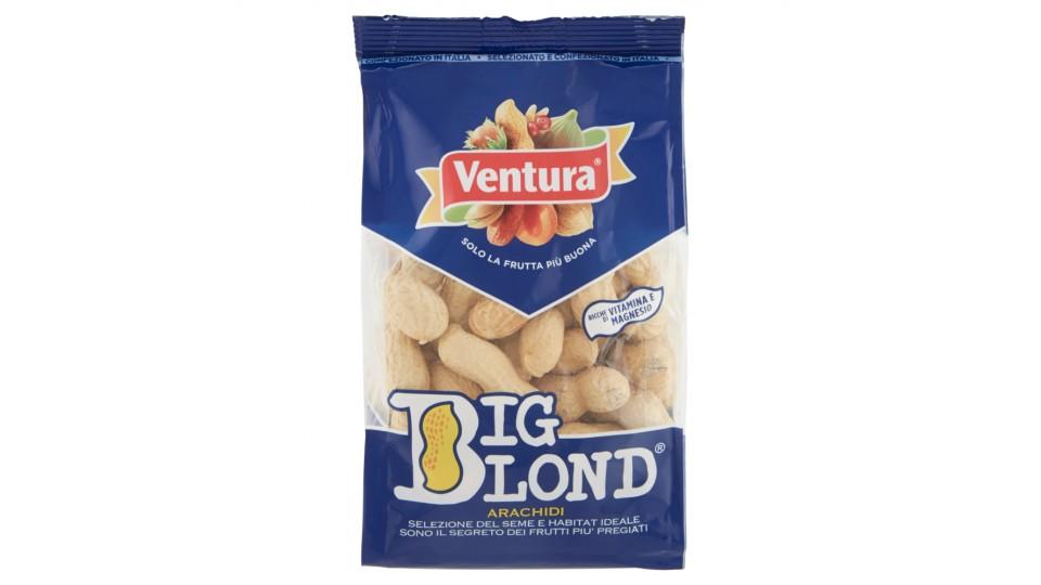 Ventura Big Blond Arachidi