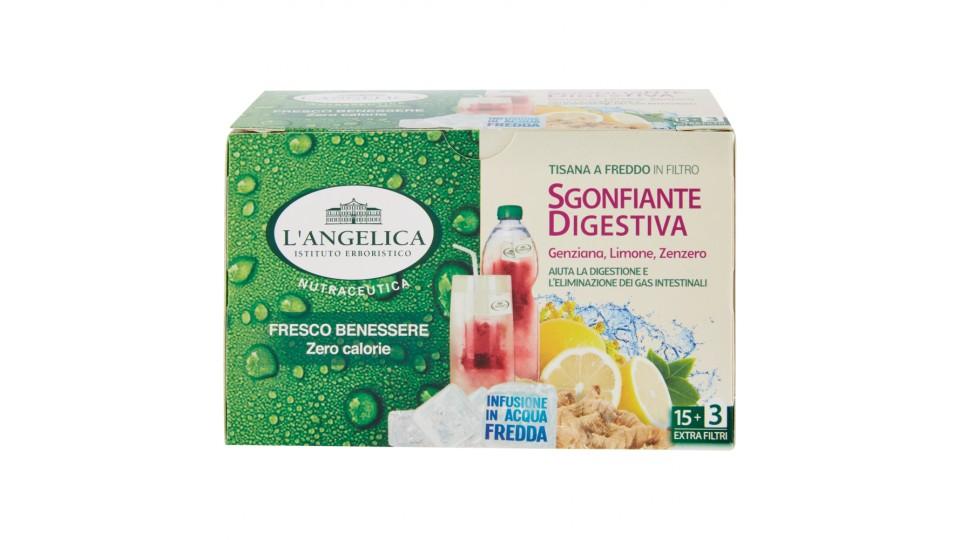 L'Angelica Nutraceutica Tisana a Freddo in Filtro Sgonfiante Digestiva 18 Filtri