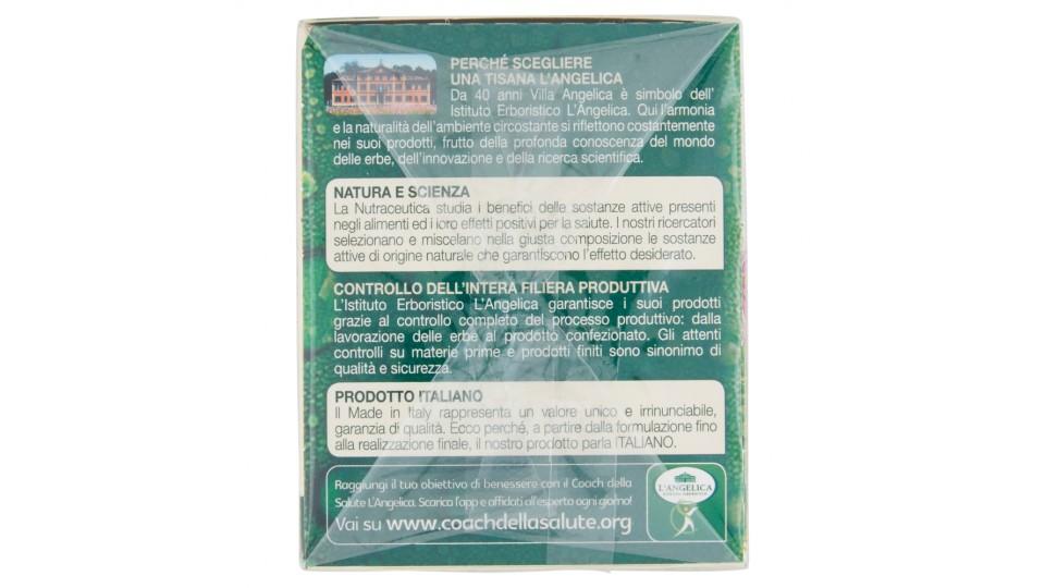 L'Angelica Nutraceutica Tisana a Freddo in Filtro Depurazione Quotidiana 18 Filtri