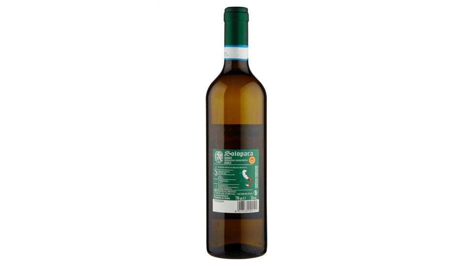 La Vinicola del Titerno Solopaca Sannio DOP Bianco