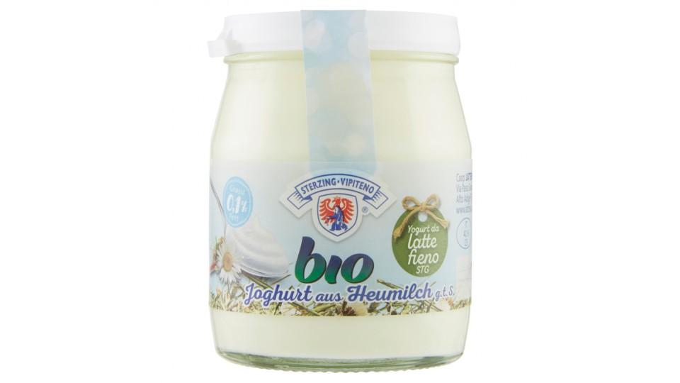 Sterzing Vipiteno bio Yogurt da latte fieno STG magro bianco