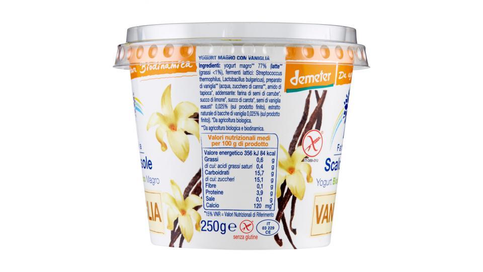 Fattoria Scaldasole, yogurt biologico magro alla vaniglia