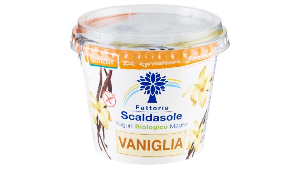 Fattoria Scaldasole, yogurt biologico magro alla vaniglia