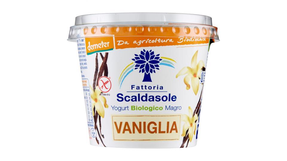 Fattoria Scaldasole, yogurt biologico magro alla vaniglia