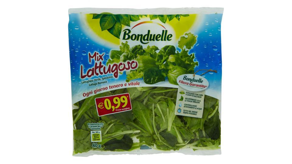 Bonduelle Mix Lattugoso