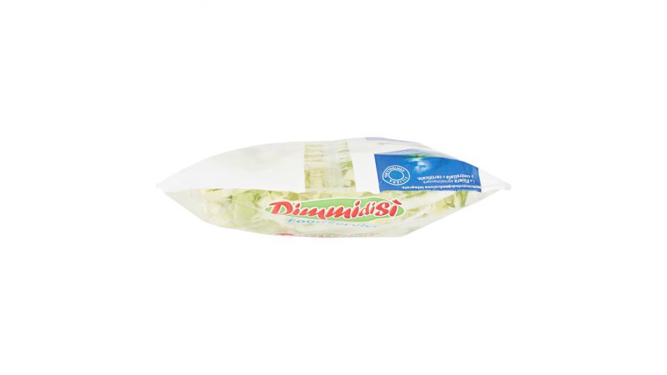 DimmidiSì FoodService Pan di Zucchero Julienne