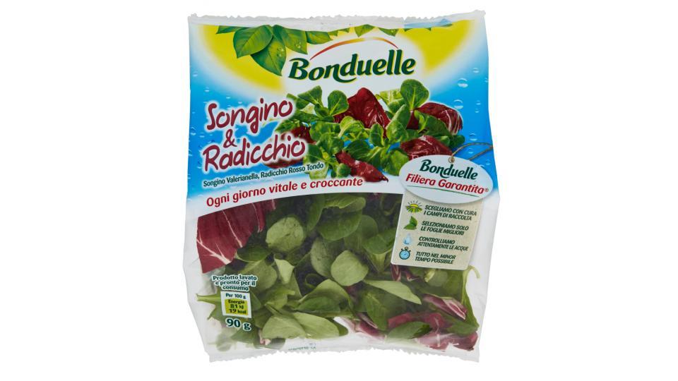 Bonduelle Songino & Radicchio