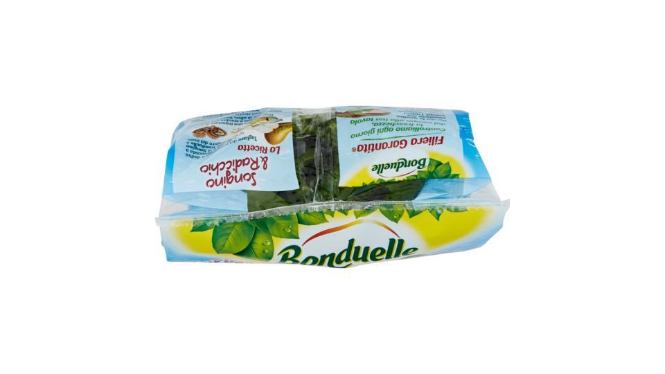 Bonduelle Songino & Radicchio