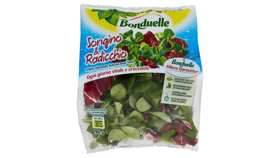 Bonduelle Songino & Radicchio