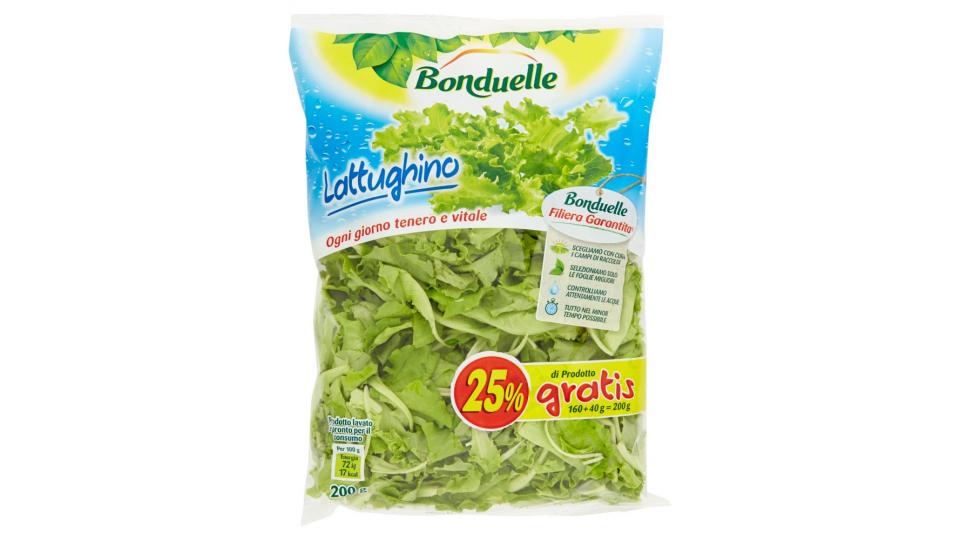 Bonduelle Lattughino