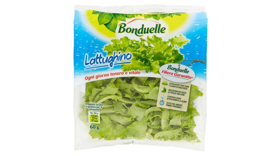 Bonduelle Lattughino