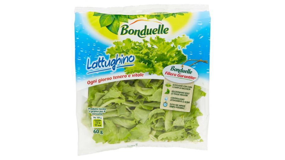 Bonduelle Lattughino