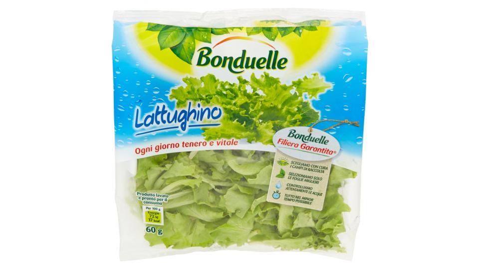 Bonduelle Lattughino