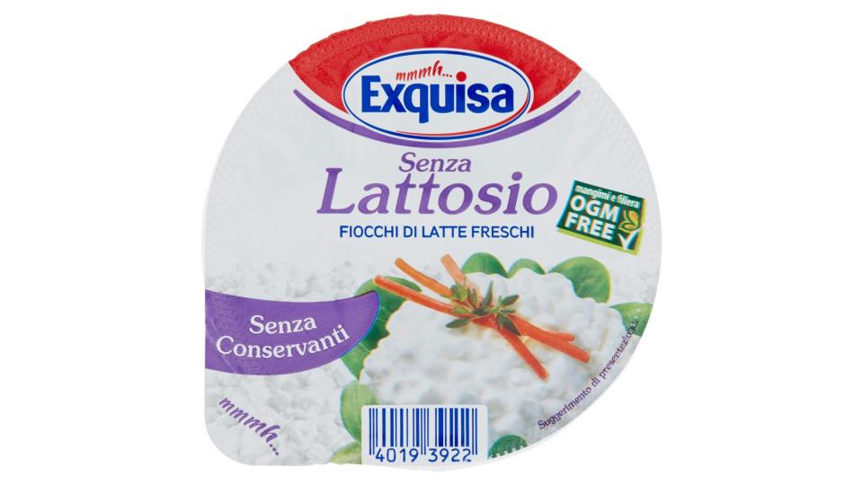 Exquisa Fiocchi di Latte Senza Lattosio