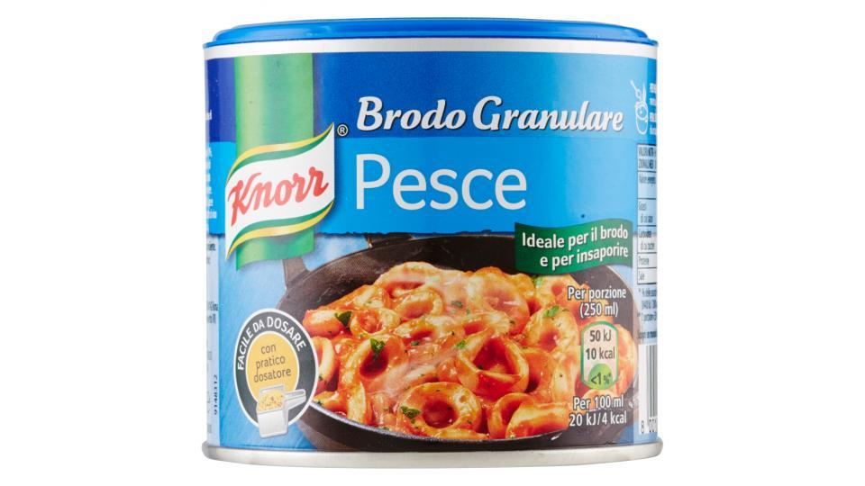 Knorr Brodo Granulare Pesce