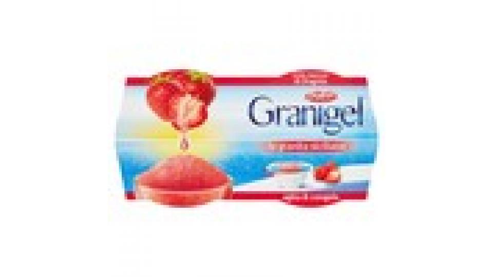 dolfin Granigel con succo di fragola