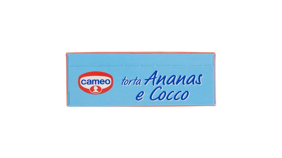 cameo torta Ananas e Cocco