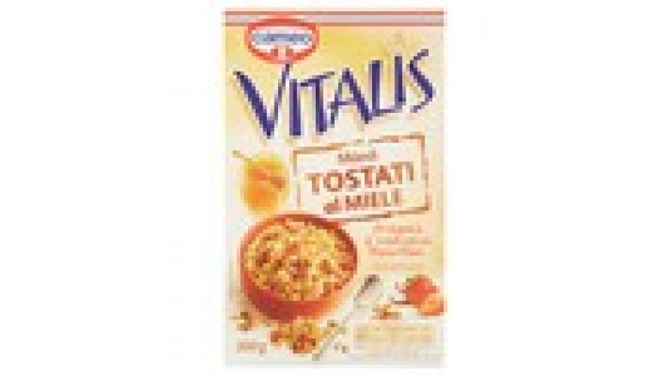 cameo Vitalis Müesli Tostati al Miele fragola e vaniglia Borbon