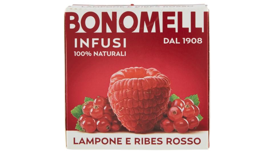 Bonomelli Infusi 100% Naturali Lampone e Ribes Rosso 10 Filtri
