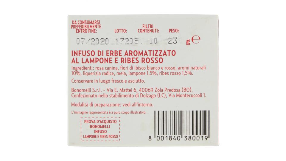 Bonomelli Infusi 100% Naturali Lampone e Ribes Rosso 10 Filtri