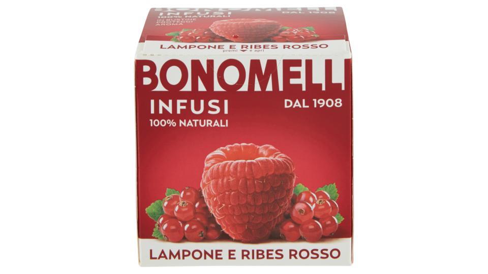 Bonomelli Infusi 100% Naturali Lampone e Ribes Rosso 10 Filtri