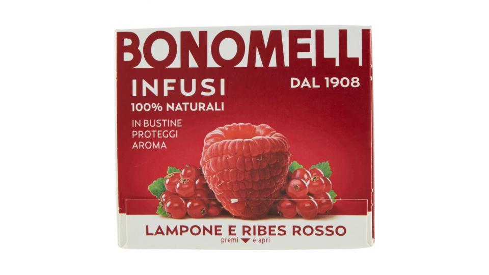 Bonomelli Infusi 100% Naturali Lampone e Ribes Rosso 10 Filtri