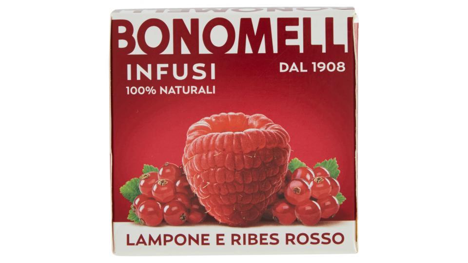 Bonomelli Infusi 100% Naturali Lampone e Ribes Rosso 10 Filtri