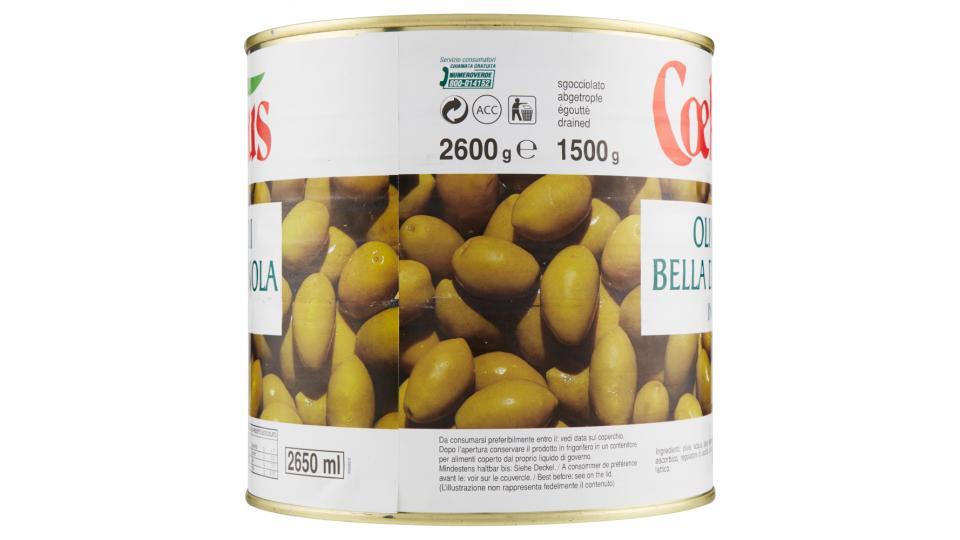 Coelsanus Olive verdi bella di Cerignola in salamoia