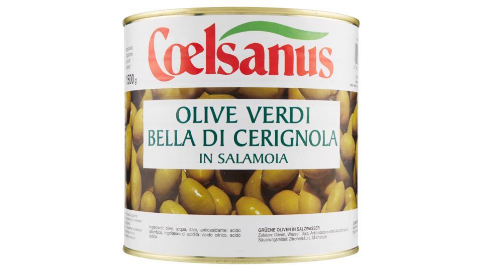 Coelsanus Olive verdi bella di Cerignola in salamoia