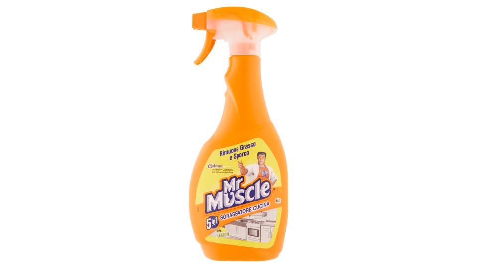 Mr Muscle 5in1 Sgrassatore cucina lemon