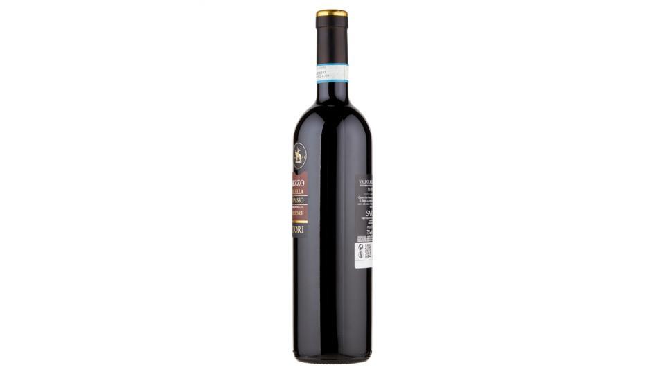 Sartori Valdimezzo Valpolicella Ripasso DOC Superiore