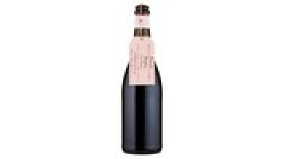 Piemonte DOC Barbera - Fiocco di Vite