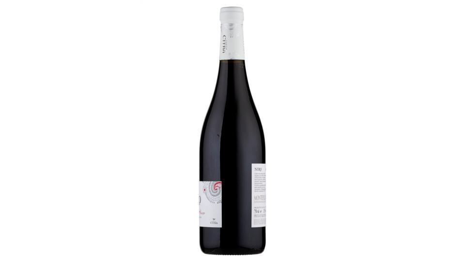 Codice Citra Niro Montepulciano d'Abruzzo DOP