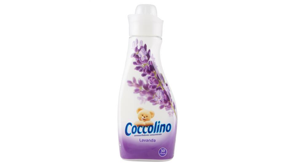 Coccolino Lavanda Ammorbidente Concentrato