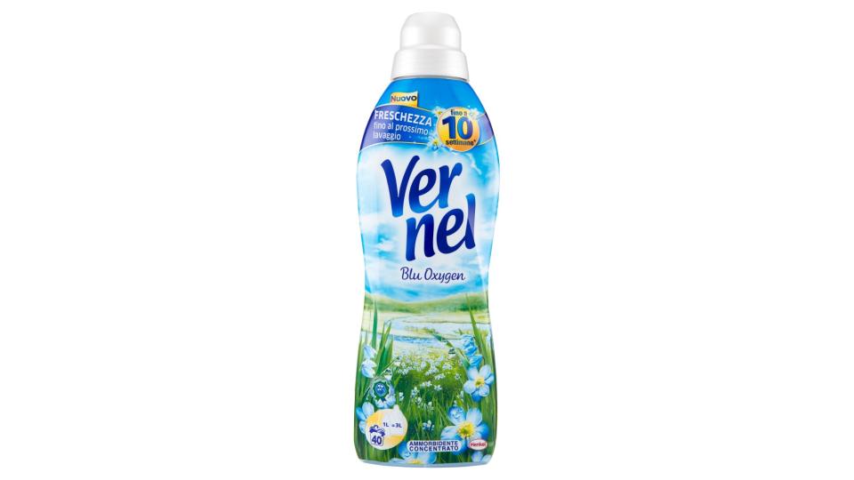 VERNEL Concentrato Blu 1 lt.